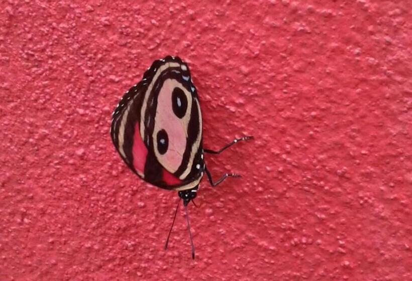 צימר El Nido Rojo