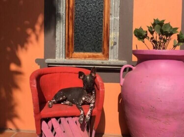 مبيت وإفطار Santa Lucia Hotel Boutique