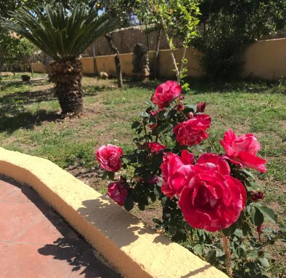 مبيت وإفطار Villa Saturno