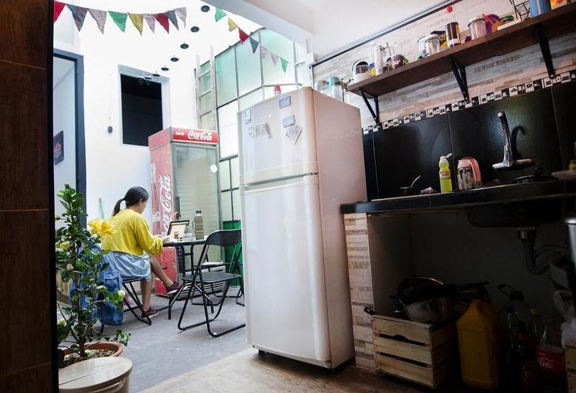 هاستل Casa Mutante