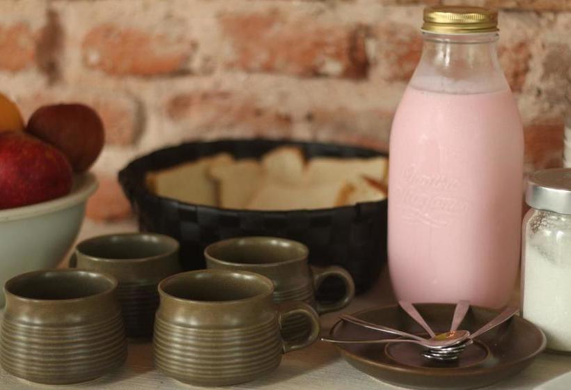 هاستل Casa Mutante