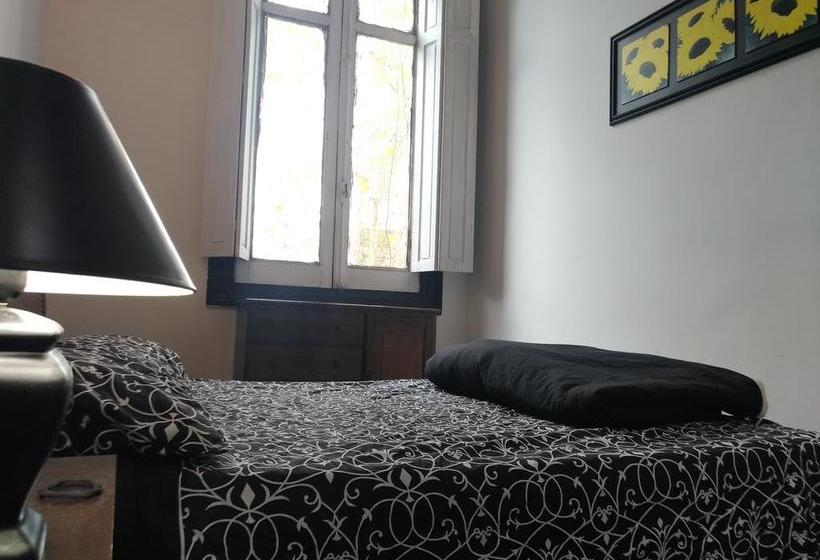 هاستل Casa Mutante