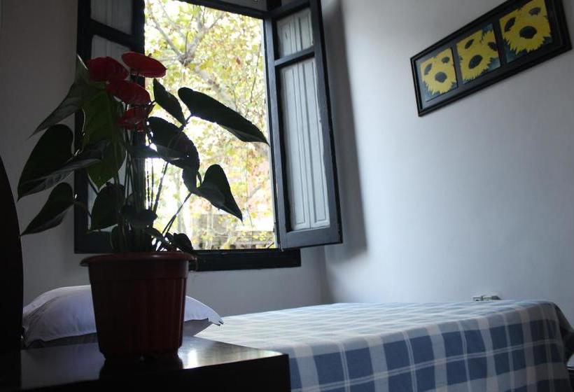 هاستل Casa Mutante