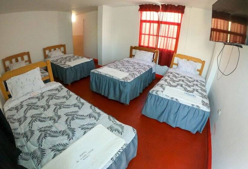 Hostel Mr. Llama Lodge