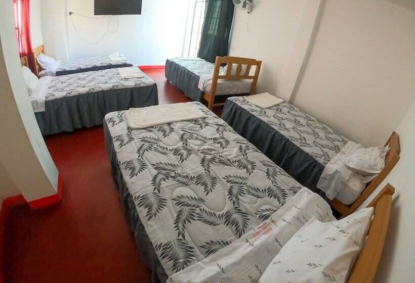 Hostel Mr. Llama Lodge