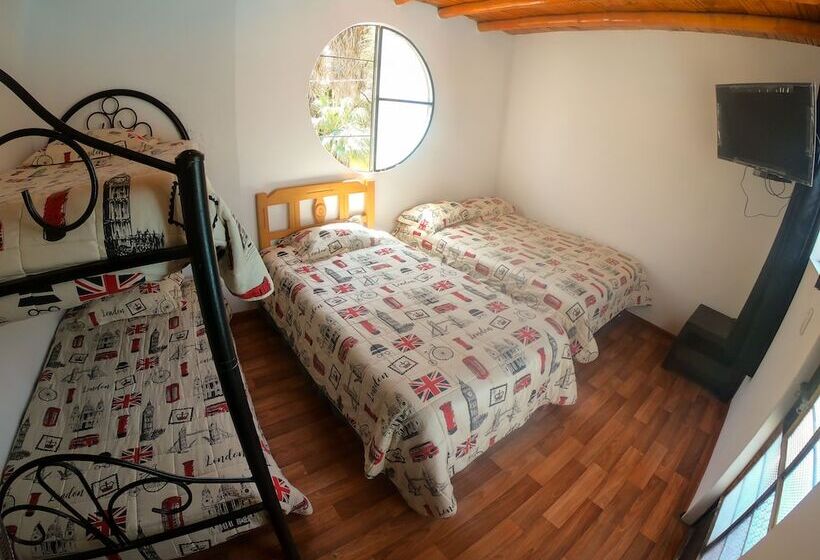 Hostel Mr. Llama Lodge