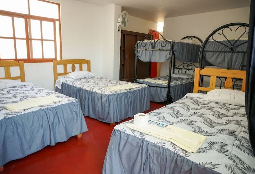 Hostel Mr. Llama Lodge