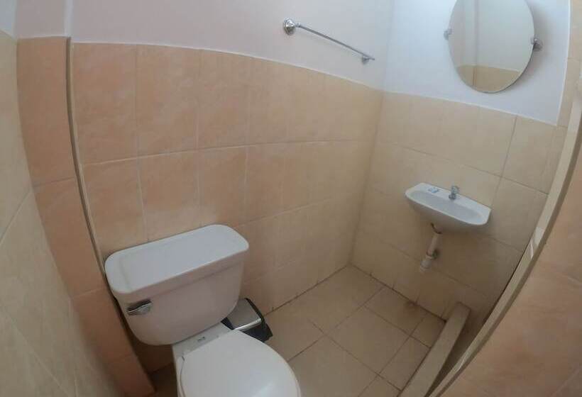 Hostel Mr. Llama Lodge