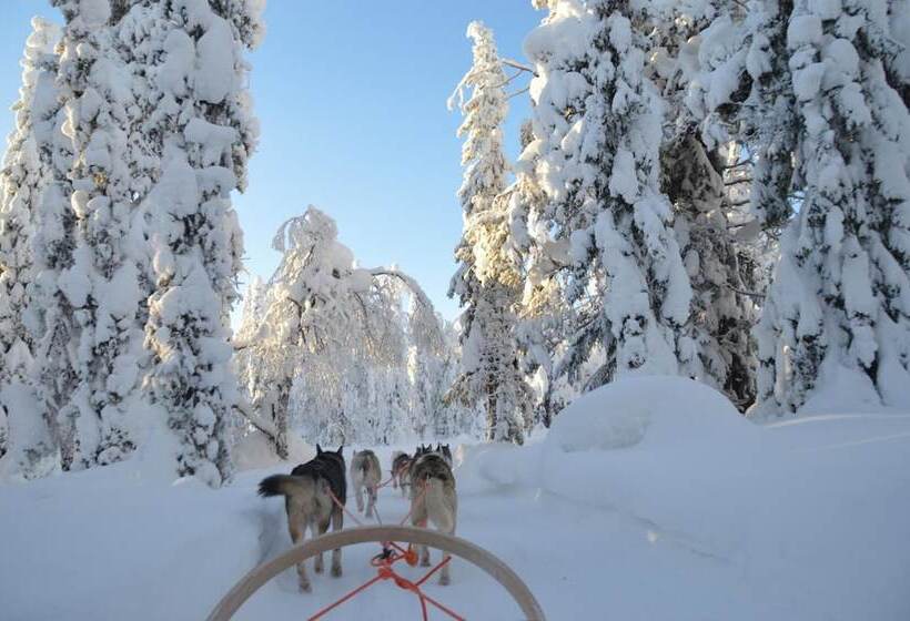 فندق Arctic Zone