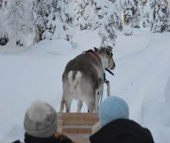 فندق Arctic Zone