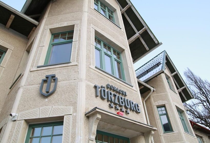 בית מלון כפרי Conacul Torzburg