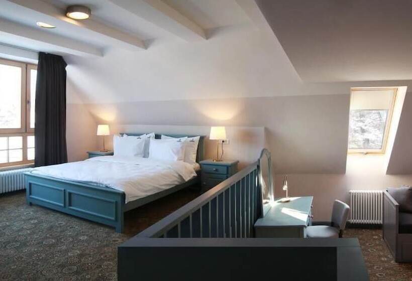 בית מלון כפרי Conacul Torzburg