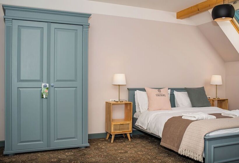 בית מלון כפרי Conacul Torzburg