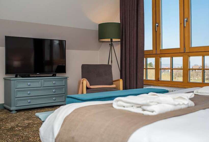 בית מלון כפרי Conacul Torzburg