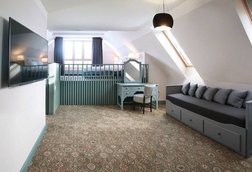 בית מלון כפרי Conacul Torzburg