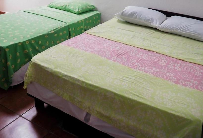 ホテル Downtown By The Sea Inn Quepos