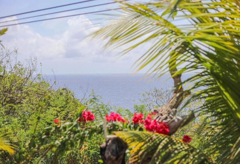 בית מלון כפרי Manta Cottages With Sea View