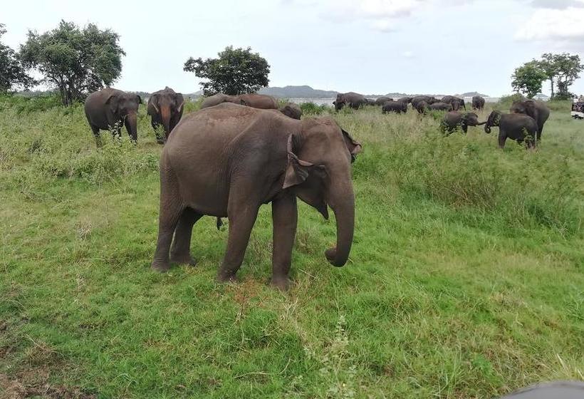 酒店 Sat Nam Village