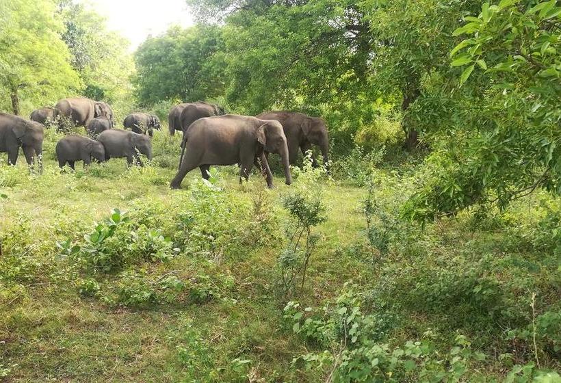 酒店 Sat Nam Village