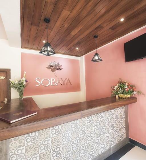 בית מלון כפרי Sobaya