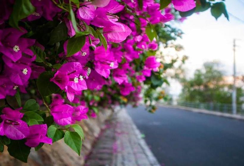 هتل Tien Sa Villa