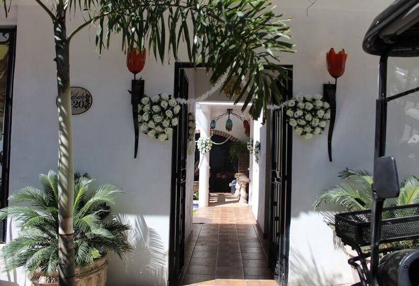 酒店 Villas Amalia