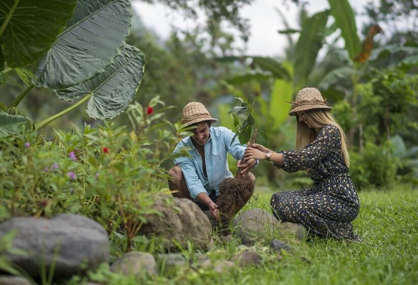 אתר נופש Wapa Di Ume Sidemen