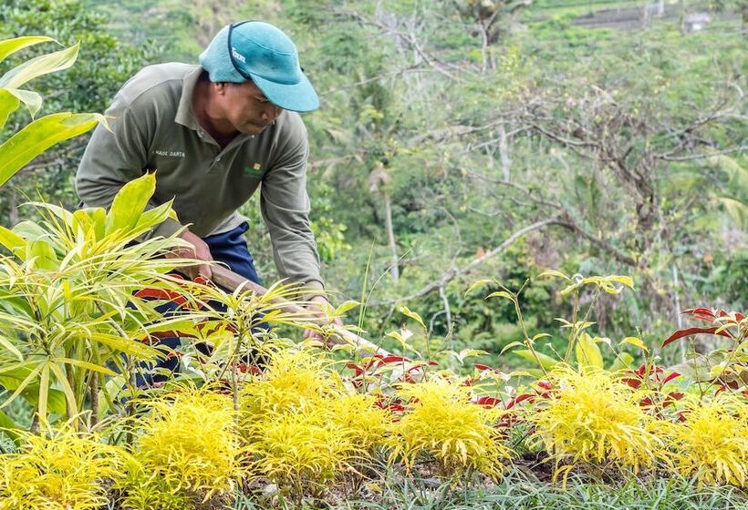 אתר נופש Wapa Di Ume Sidemen