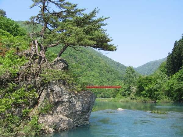 Рёкан Onsen Yupopo