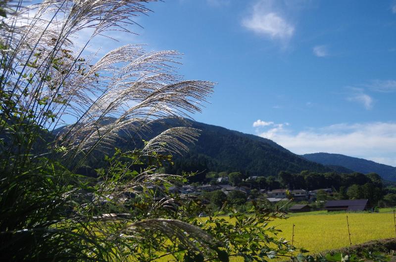 ریوکان Ryoso Chatani