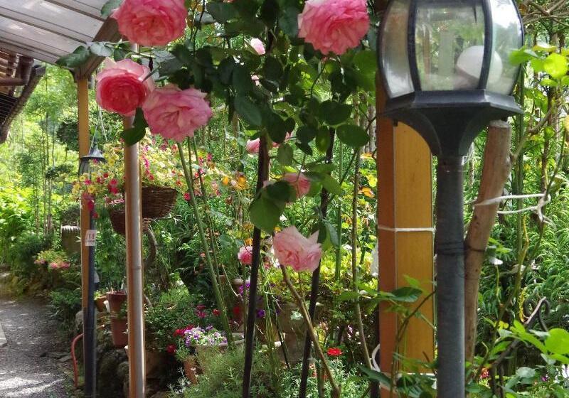 ریوکان Ryoso Chatani