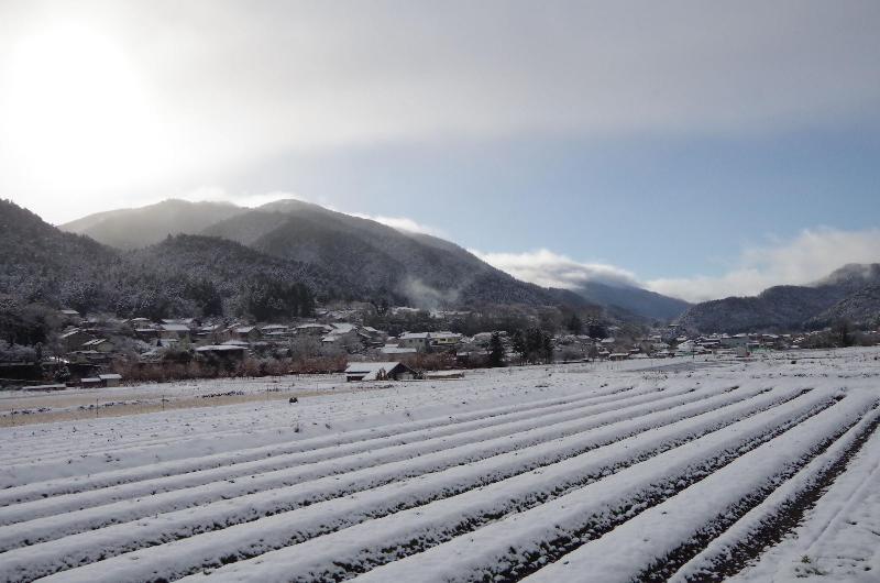 ریوکان Ryoso Chatani