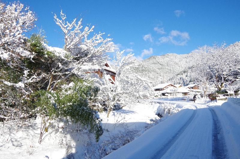 ریوکان Ryoso Chatani