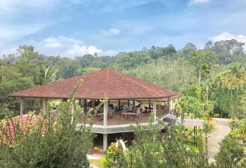 Serene Resort & Training Centre