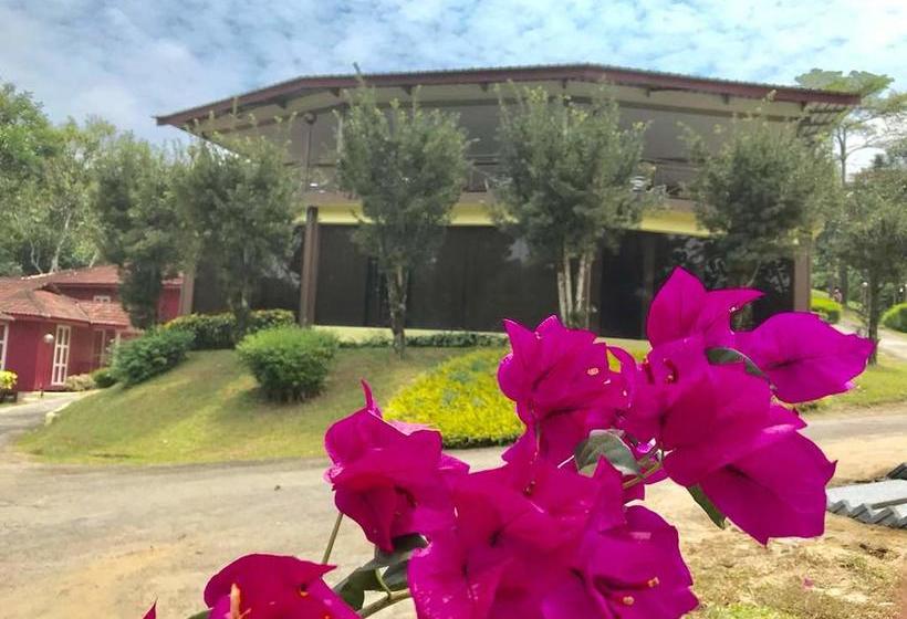 Serene Resort & Training Centre