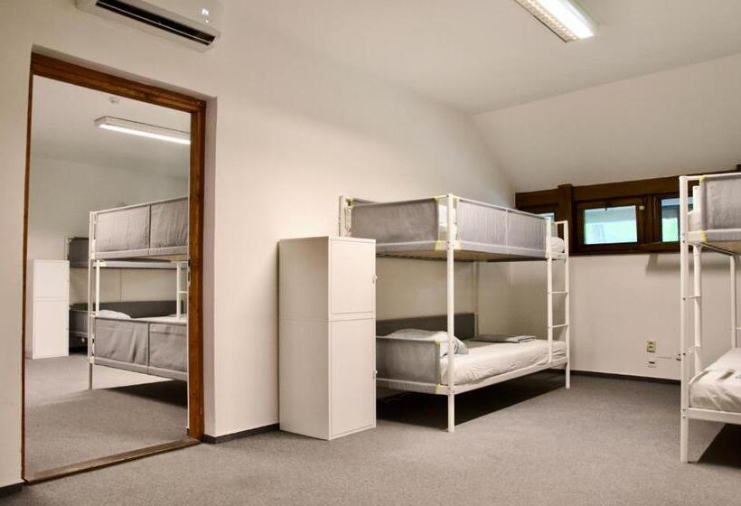 Wild Elephants Hostel