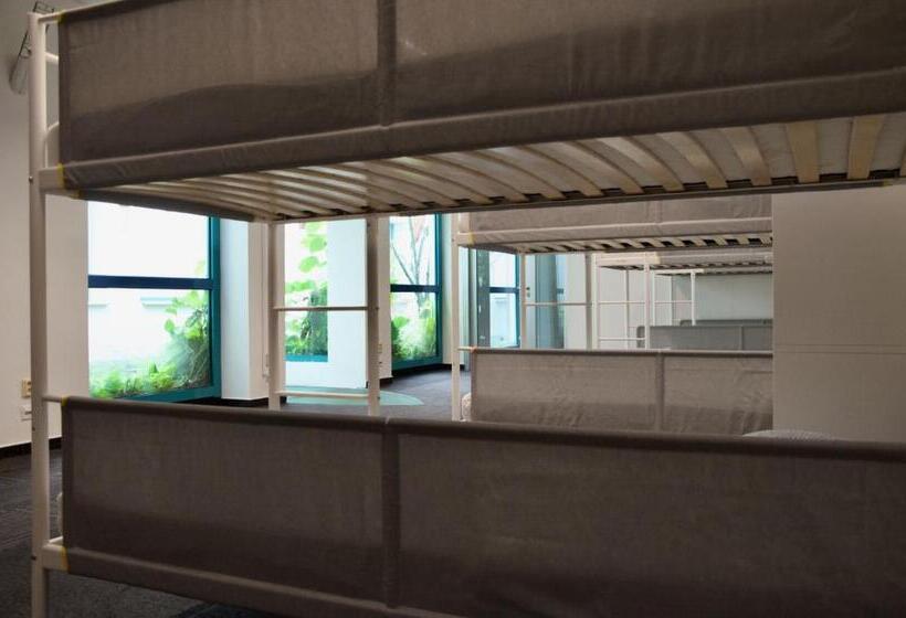 Wild Elephants Hostel