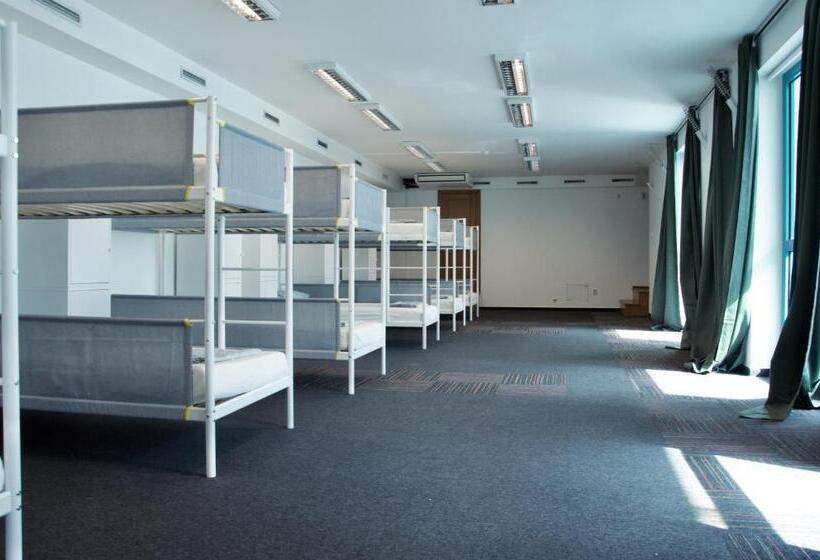 Wild Elephants Hostel