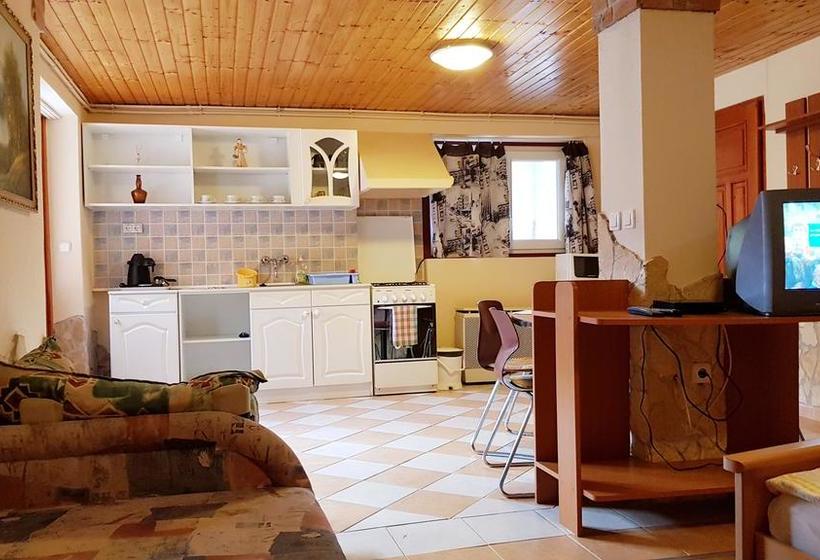 ベッドアンドブレックファースト Central Panzió Gyula