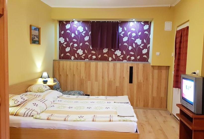Bed and Breakfast Central Panzió Gyula