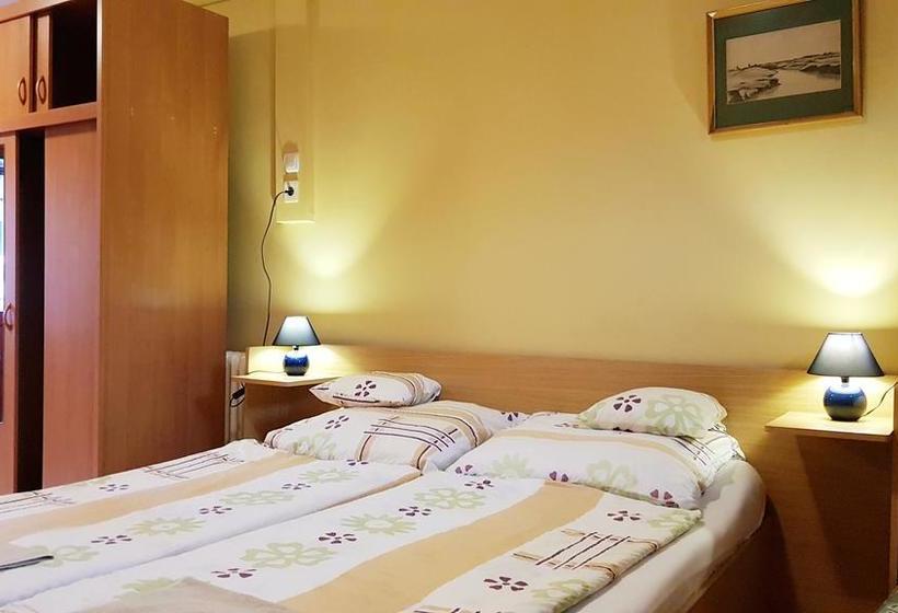 ベッドアンドブレックファースト Central Panzió Gyula