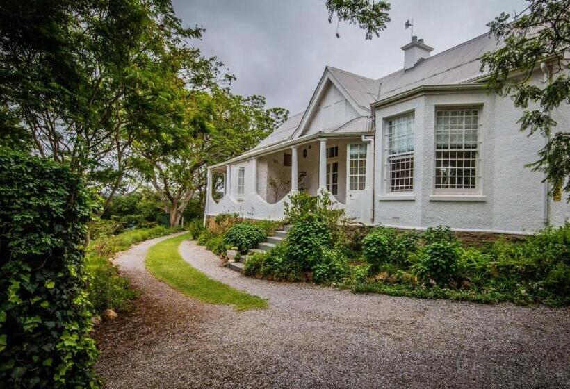 تختخواب و صبحانه Mimosa