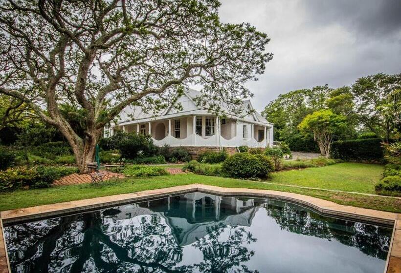 تختخواب و صبحانه Mimosa