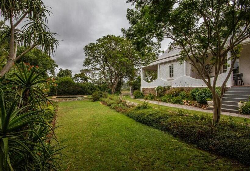 تختخواب و صبحانه Mimosa