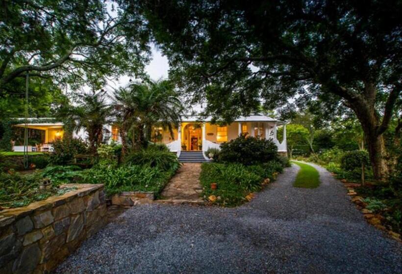 تختخواب و صبحانه Mimosa