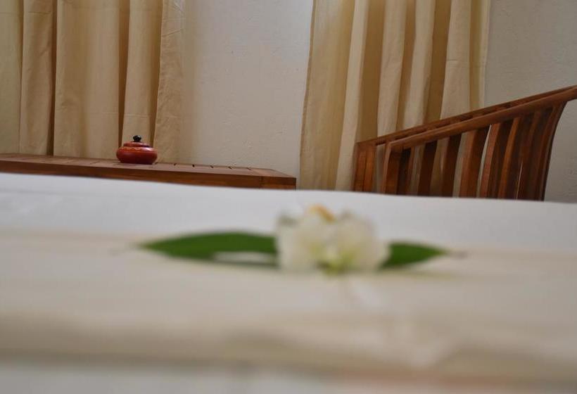 ベッドアンドブレックファースト Ocean Caves, Balapitiya