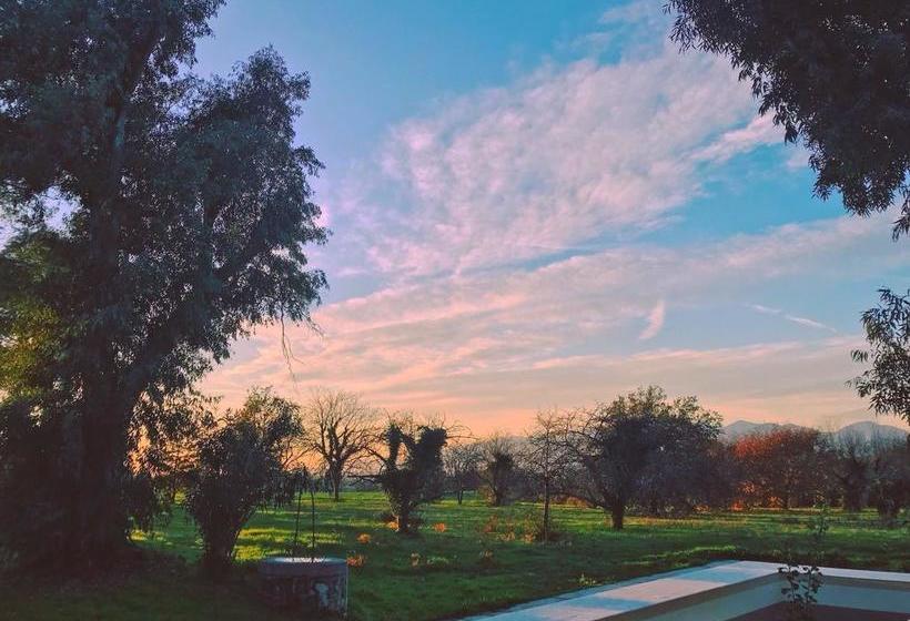 צימר Ponteronico Resort