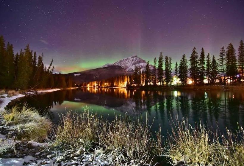 مبيت وإفطار The Poplar Inn