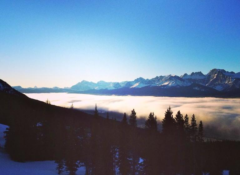 צימר The Poplar Inn