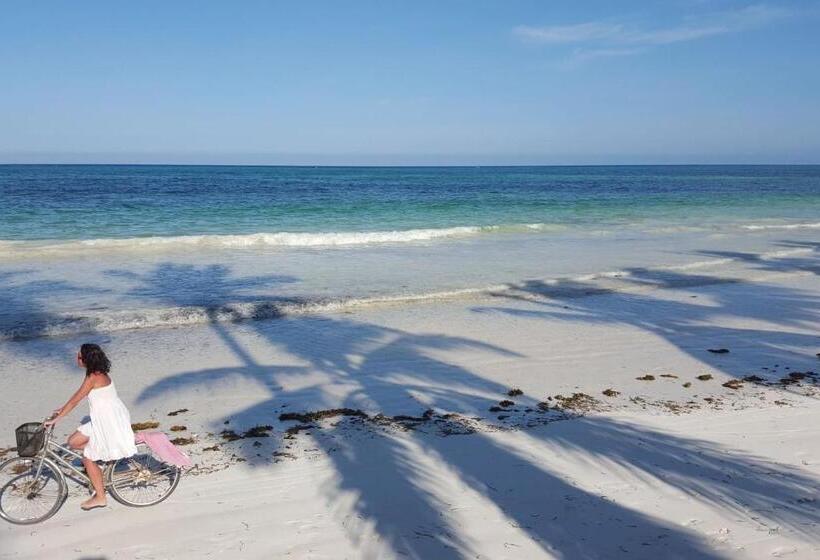 住宿加早餐  Zanziblue Boutique Villas